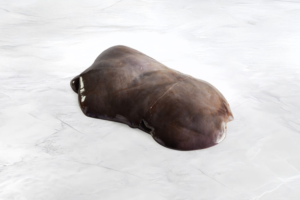 pezzo di fegato su fondo marmo