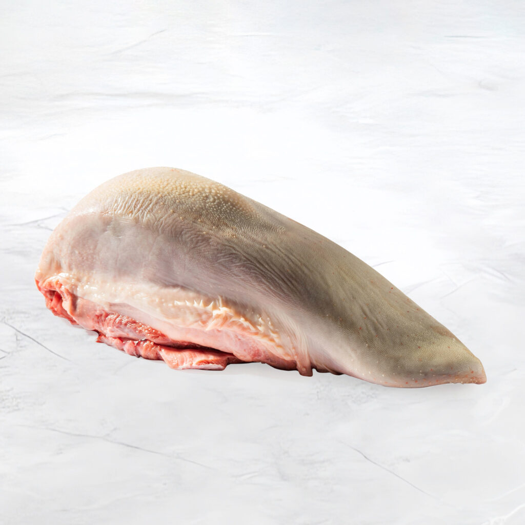 lingua di bovino su fondo marmo